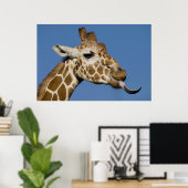 Bleeeh Poster (Heimbüro)