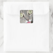 Blei Katzenpfropfkleber Quadratischer Aufkleber (Tasche)