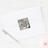 Blei Katzenpfropfkleber Quadratischer Aufkleber (Umschlag)