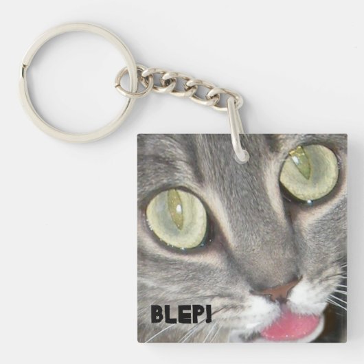 Blei Katzenpfropfkleber Schlüsselanhänger (Vorderseite)