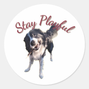 Bleib Spielzeug Hund Aufkleber