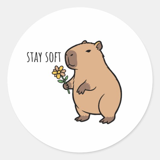 Bleib weich Capybara Illustration Tier Runder Aufkleber (Vorderseite)