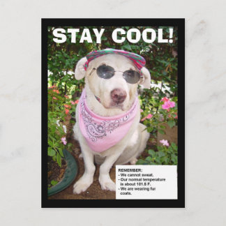 BLEIBE COOL! POSTKARTE