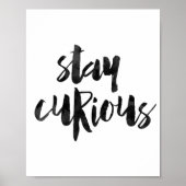 Bleibe Curious Poster (Vorne)