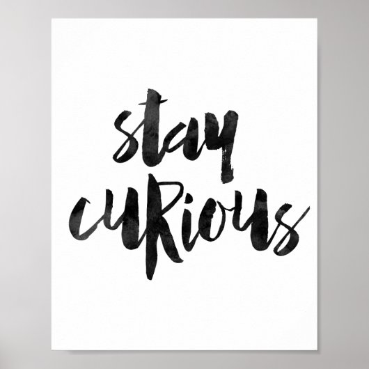 Bleibe Curious Poster (Vorne)