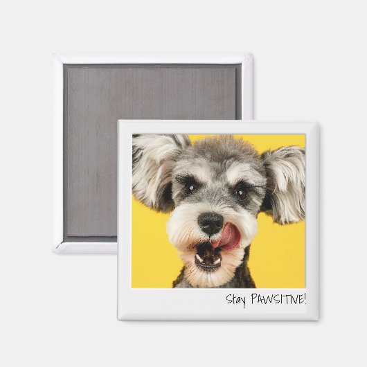 Bleibe eines für die Kamera angepassten Bildformat Magnet (Vorderseite/Rückseite)