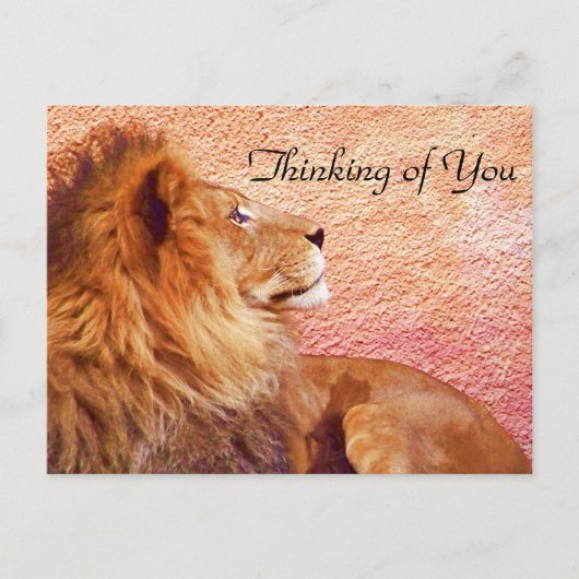 Bleibe Focused_ Postkarte (Vorderseite)