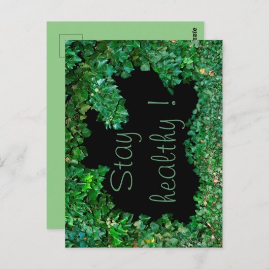 Bleibe gesund mit grüner Ivy Postkarte (Vorne/Hinten)