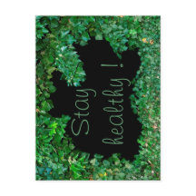 Bleibe gesund mit grüner Ivy