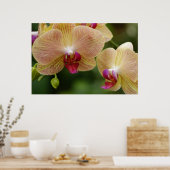 Bleibe mal zusammen poster (Küche)