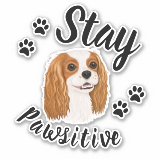 Bleibe Pawsitive Blenheim King Charles Sticker (Vorderseite)