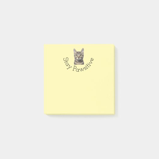 Bleibe Pawsitive Cat Post Hinweise Post-it Klebezettel (Vorderseite)