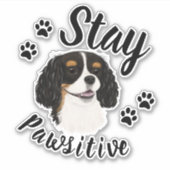 Bleibe Pawsitive Tri Cavalier King Charles Aufkleber (Vorderseite)
