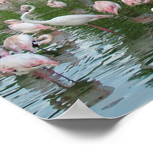 bleibe poster (Ecke)