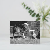 - - - Bleibe - - - - - Postkarte (Stehend Vorderseite)