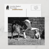 - - - Bleibe - - - - - Postkarte (Vorne/Hinten)