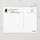 - - - Bleibe - - - - - Postkarte (Rückseite)