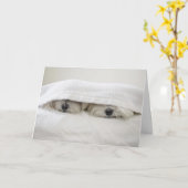 Bleibe Sie im Bett Karte (Gelbe Blume)