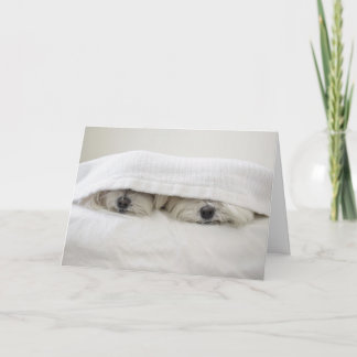 Bleibe Sie im Bett Karte