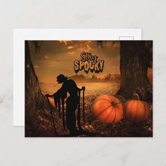 Bleibe Spooky Halloween Night Old Hexe, Pumpkins Postkarte (Vorne/Hinten)