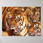 Bleibe Strong_ Poster (Vorne)