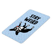 Bleibe Weird Funny Boston Terrier Dog Magnet (Linke Seite)