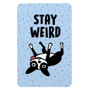 Bleibe Weird Funny Boston Terrier Dog Magnet