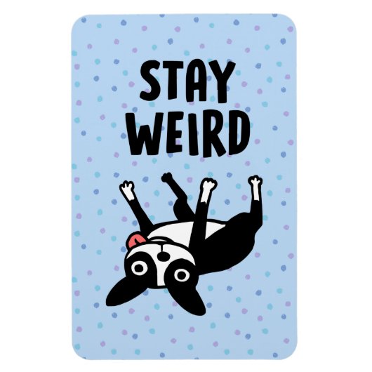 Bleibe Weird Funny Boston Terrier Dog Magnet (Vertikal)