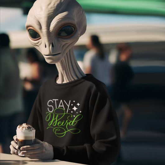 Bleibe Weird Geek, Nerd, Introvert Sweatshirt