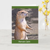 Bleiben Sie ruhig Karte (Gelbe Blume)