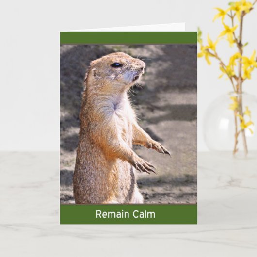 Bleiben Sie ruhig Karte (Gelbe Blume)