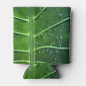 Bleichen und Wassertropfen können sich abkühlen Dosenkühler (Vorderseite)