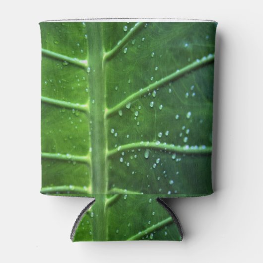 Bleichen und Wassertropfen können sich abkühlen Dosenkühler (Vorderseite)