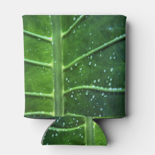 Bleichen und Wassertropfen können sich abkühlen Dosenkühler (Rückseite)