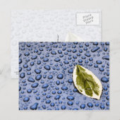 Bleichen und Wassertropfen Postkarte (Vorne/Hinten)