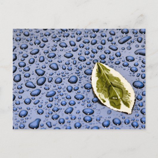 Bleichen und Wassertropfen Postkarte (Vorderseite)