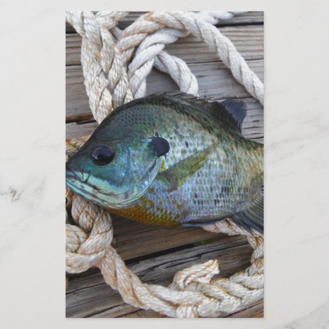 Bleichfische auf Dock und Seil (Vorderseite)