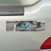 Bleichfische auf Dock und Seil Autoaufkleber (Auf Auto)