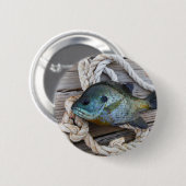 Bleichfische auf Dock und Seil Button (Vorne & Hinten)