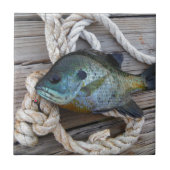 Bleichfische auf Dock und Seil Fliese (Vorderseite)