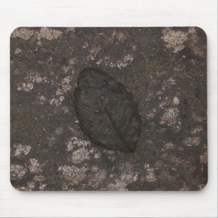 Bleifossilien Mousepad