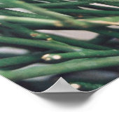 Bleistift-Kaktus - individuell angepasst Poster (Ecke)