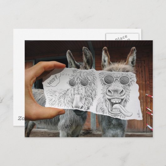 Bleistift Vs Kamera - Crazy Donkeys Postkarte (Vorne/Hinten)