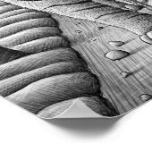 Bleistift Vs Kamera - Tiger, Schüssel, Mann Poster (Ecke)