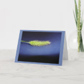 Blende Karte (Vorderseite)