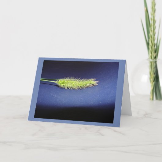 Blende Karte (Vorderseite)