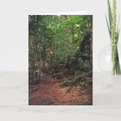 Blende Karte (Vorderseite)