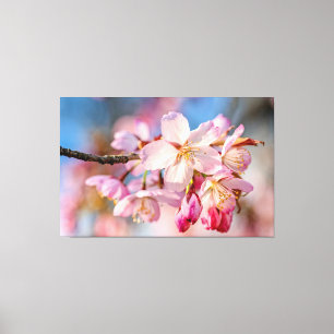 Blendende Sakura-Blüten. Beiger und blauer Hinterg Leinwanddruck