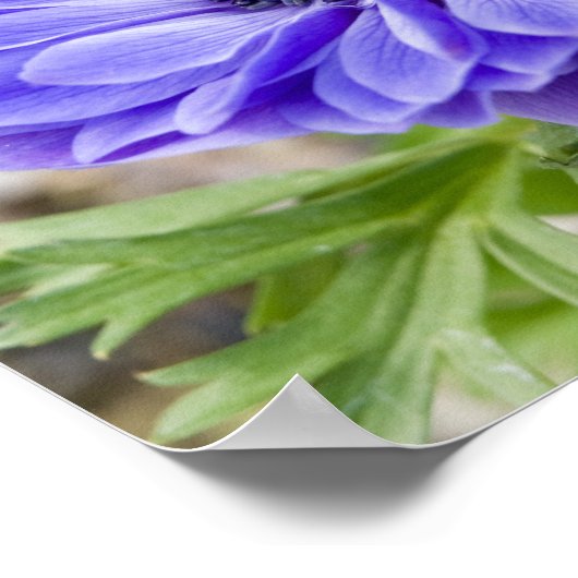 Blendenwerbung Poster (Ecke)