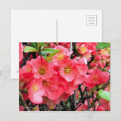 Blendenzeit [Postkarte] Postkarte (Vorne/Hinten)